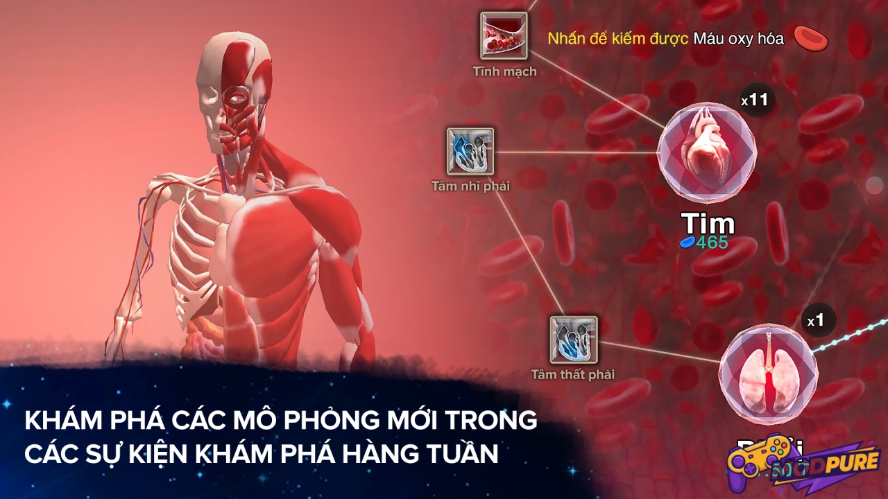 Lối Chơi Đơn Giản Với Chỉ Một Cử Chạm