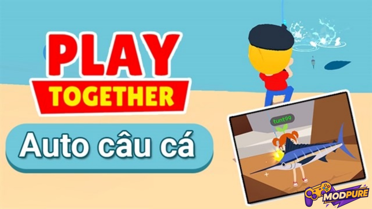 Auto Câu Cá